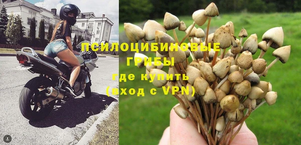 сатива Алексин