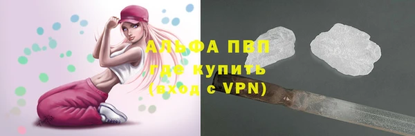 сатива Алексин